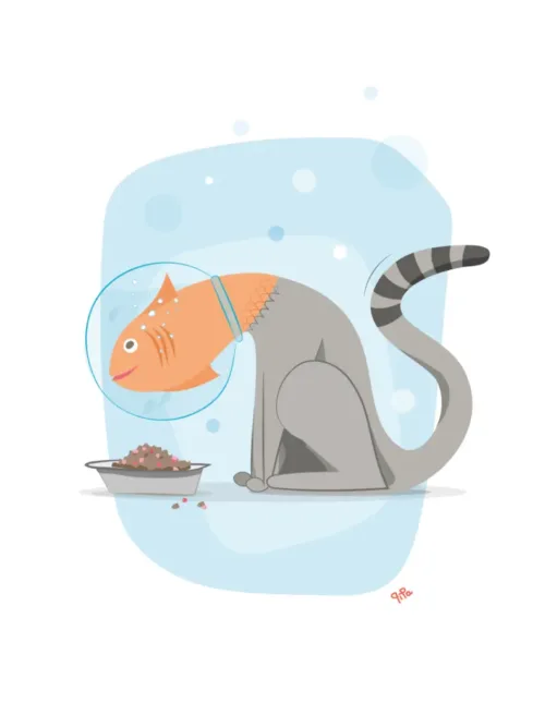 Poissat