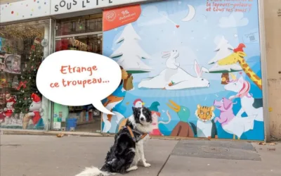 Le pouvoir des petits commerces : le cœur battant de nos quartiers