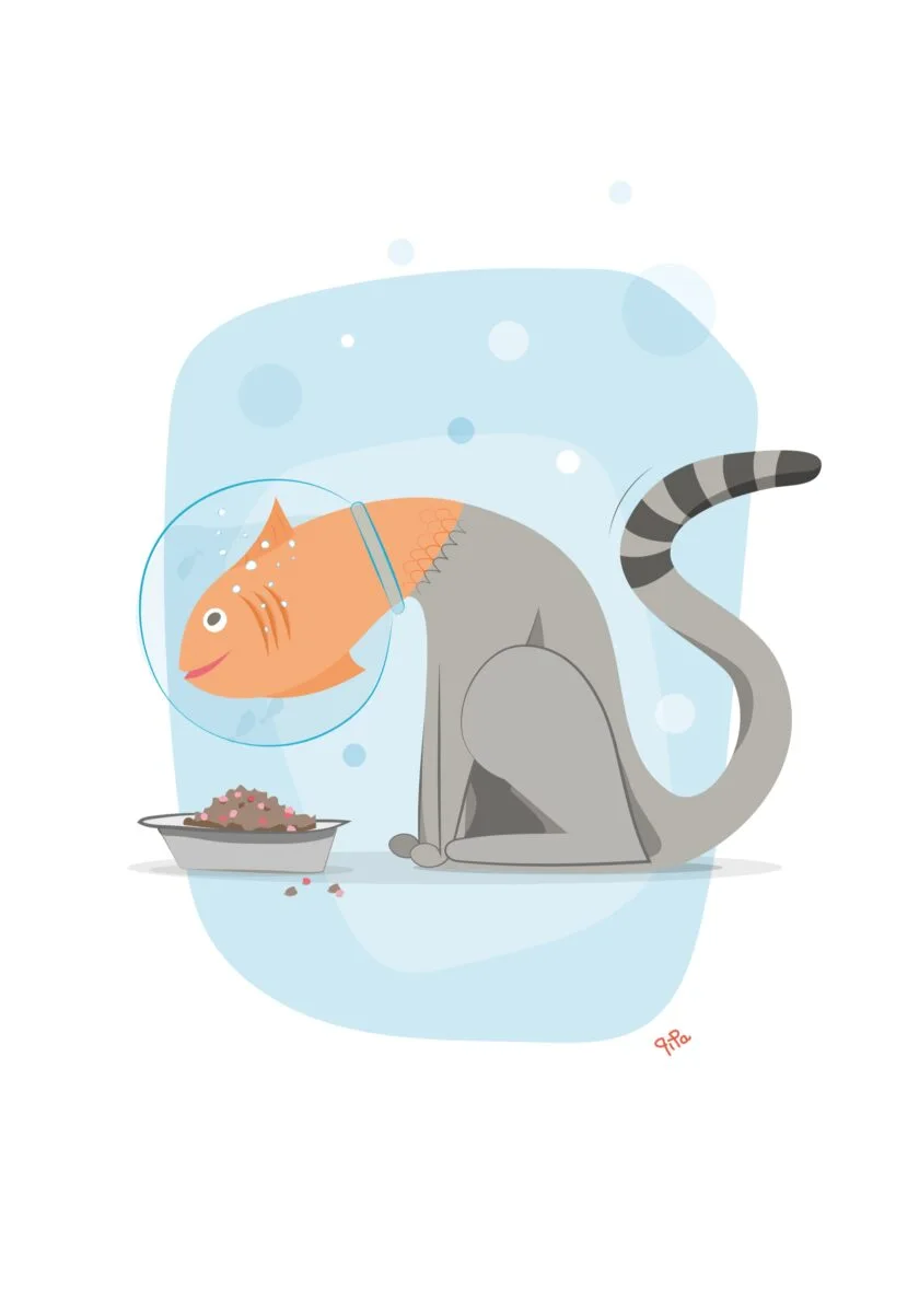 Affiche Poissat, illustration de Pipa