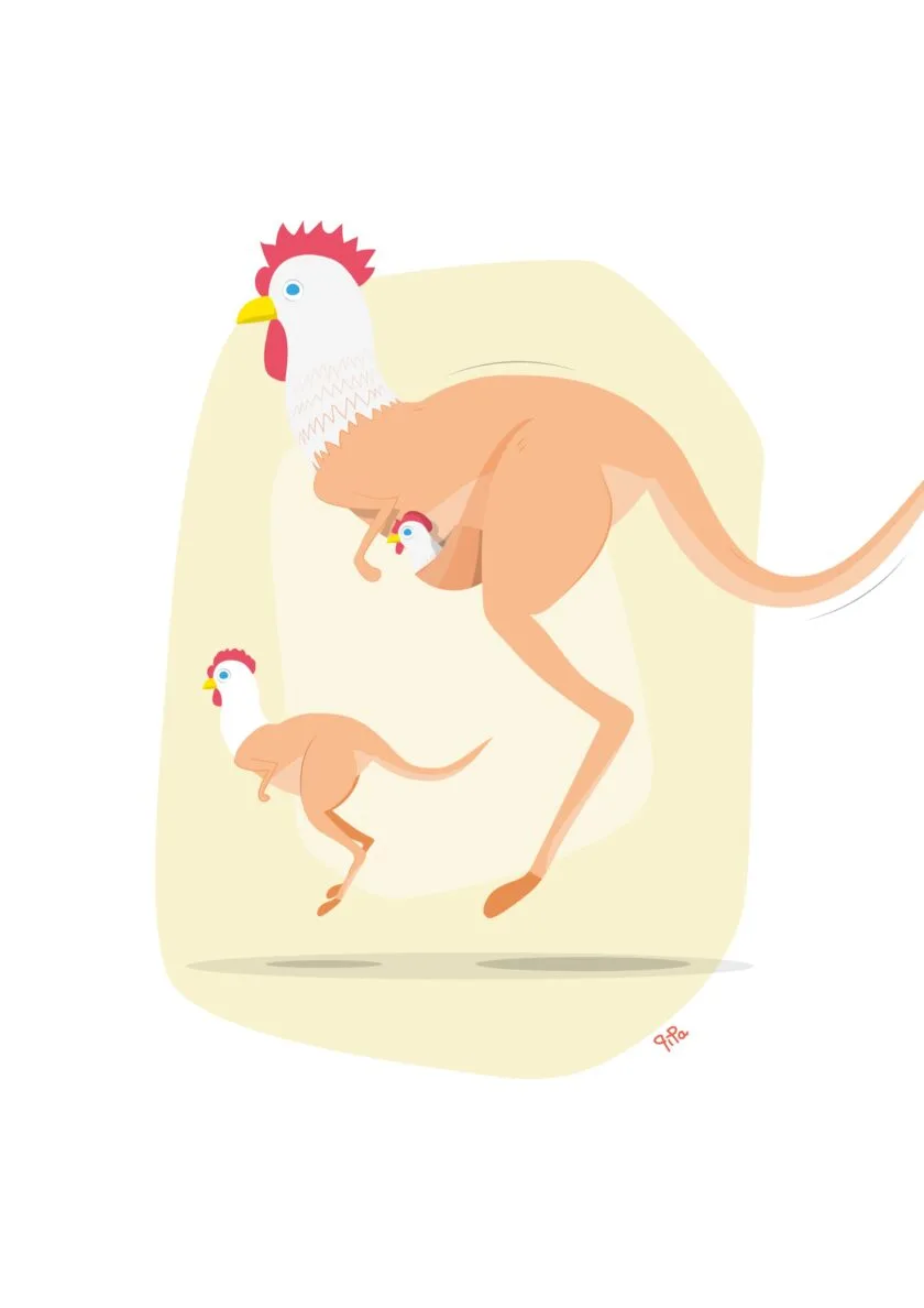 Affiche Poulourou, illustration de Pipa