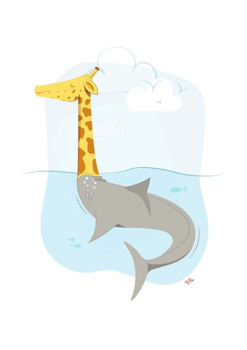 Affiche Requafe, illustration de Pipa